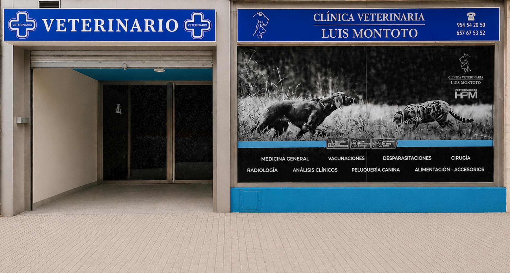 cropped-clinica-veterinaria-luis-montoto-4.png